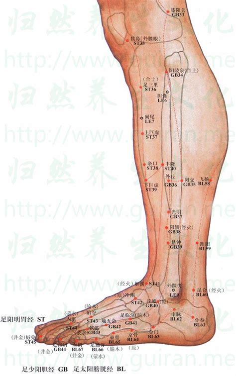 金門穴功效|金門